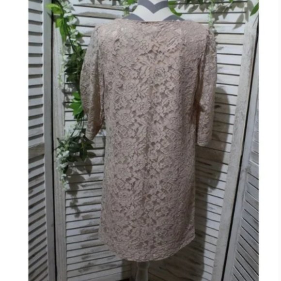FOSSIL Champagne Blush Pink Lace Shift Dress (1309)🔮 - Picture 4 of 9